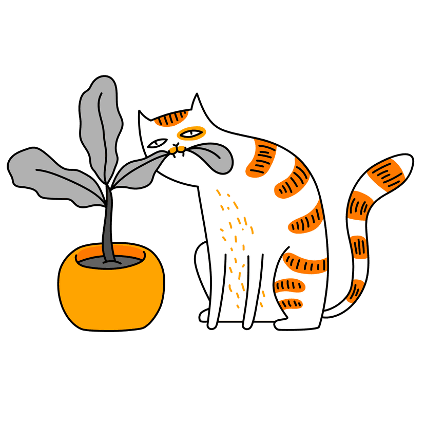 a cat chewing on a plant